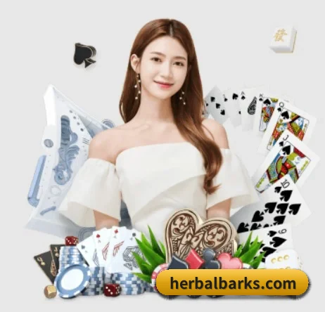 世界杯500赛官网入口 APP 界面